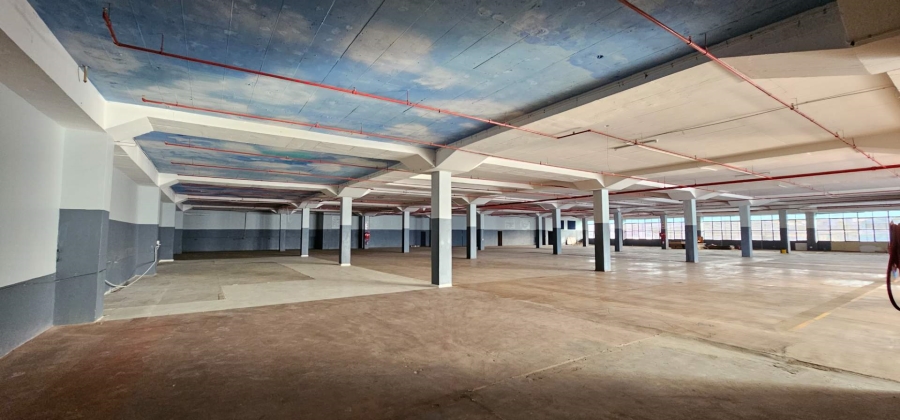 To Let commercial Property for Rent in Elsies River Industrial Western Cape
